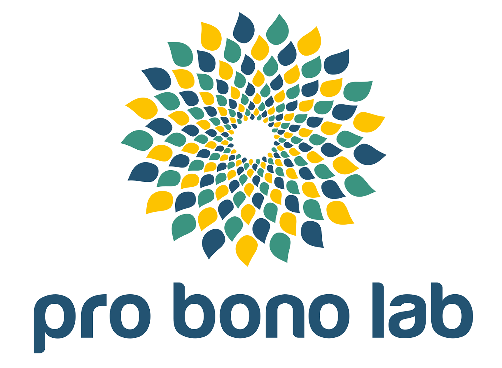 Logo Pro Bono Lab 